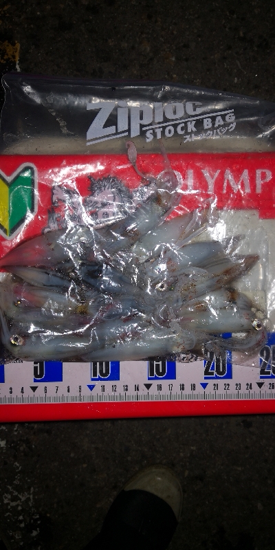 アジング練習337