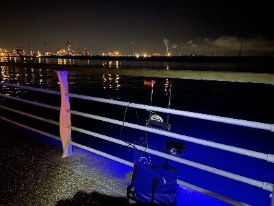 舞洲朝練 アジからのサヨリ