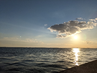 青物チャレンジ