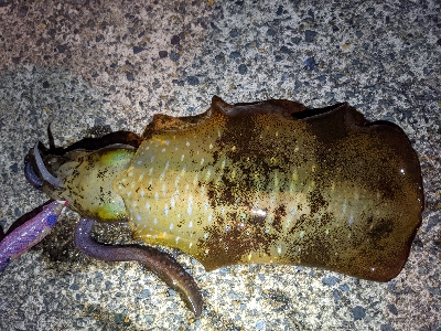 仕事終わりに…