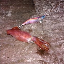 まさかまさかの！