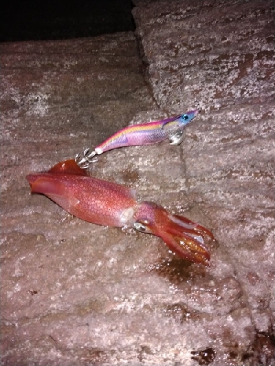 まさかまさかの！