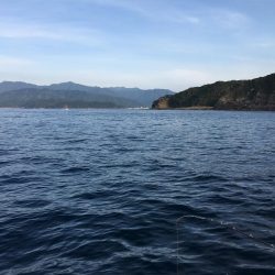 たかたか釣り日記