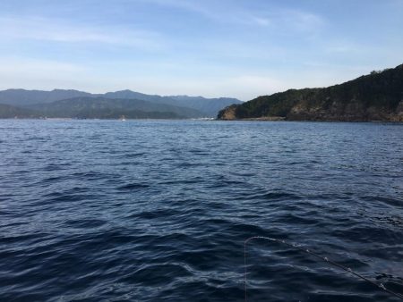 たかたか釣り日記