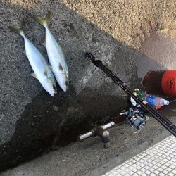 本日も複数安打。