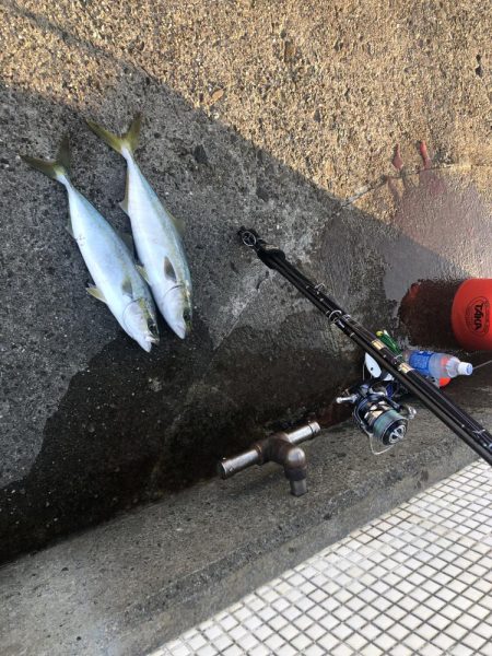 本日も複数安打。