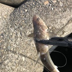 予想外、でも嬉しい