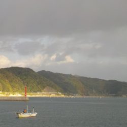 グレシーズン開幕