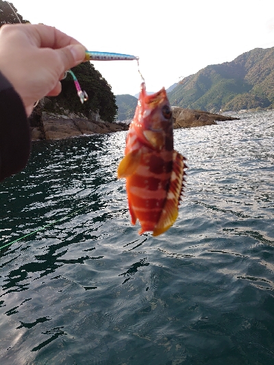 ゴムボートで釣りをしてきました