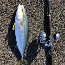 マイクロベイトパターン攻略?