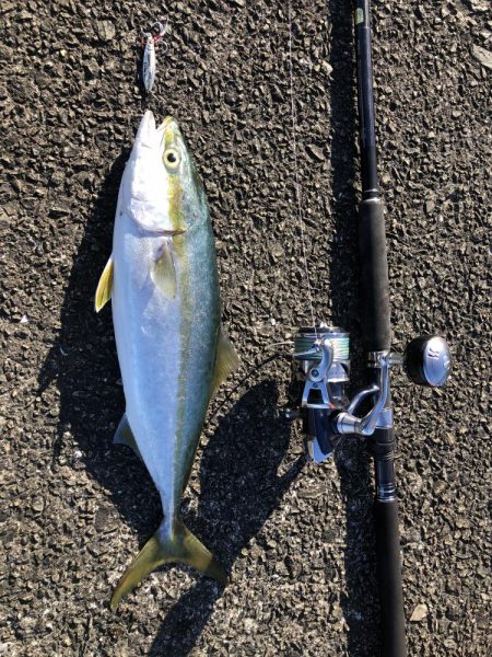 マイクロベイトパターン攻略?