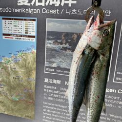 ショアジギング