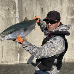 またしても、飲ませで鰤