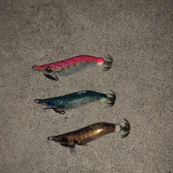 ヒイカ爆釣のカギ