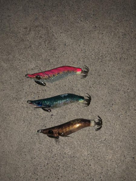 ヒイカ爆釣のカギ