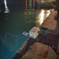 アジングロッドでヒイカ爆釣⁉︎