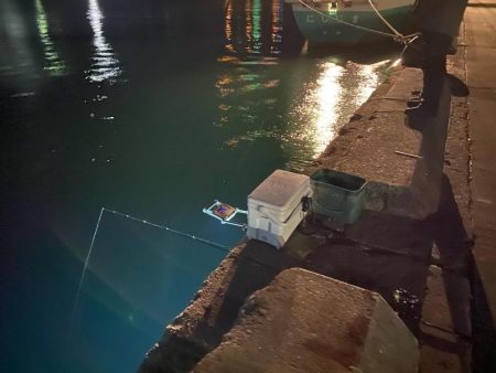 アジングロッドでヒイカ爆釣⁉︎