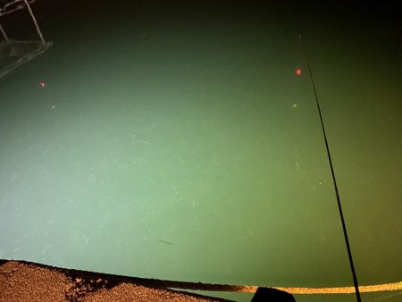 今回は渋かったです。