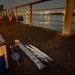 湾奥まで入ってきましたね