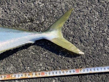 やっぱりここが最強堤防かなぁ〜