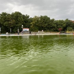 釣れない日に当たった。