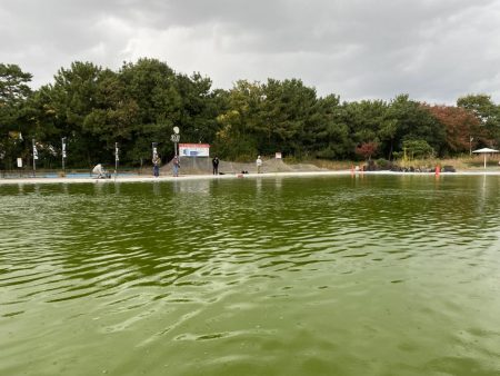 釣れない日に当たった。