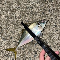 アミパターンアジング