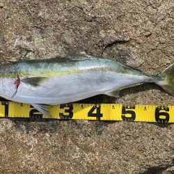 アウェイでミラクル3目釣り‼️‼️