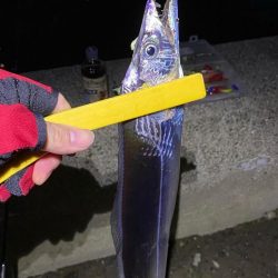 湾奥まで来たよ