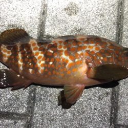 波穏やかな南港