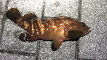 波穏やかな南港