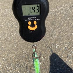 またティップランで