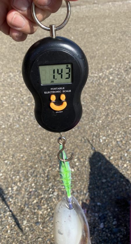 またティップランで