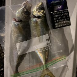 尺まであと少し