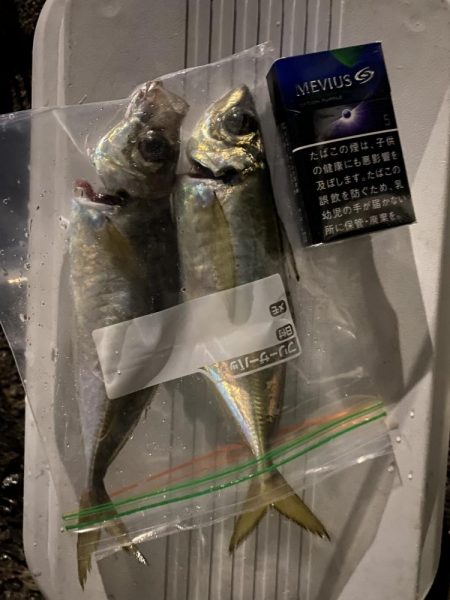 尺まであと少し