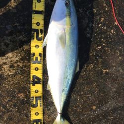 大荒れパターン