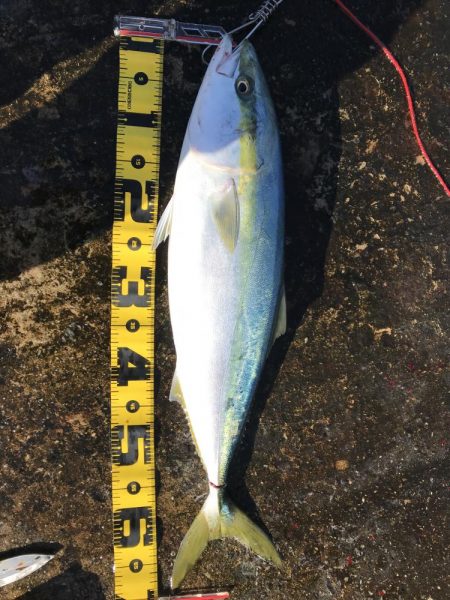 大荒れパターン