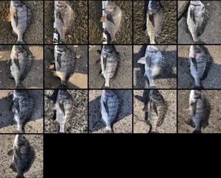 イチノ兄弟、釣果！