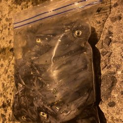 極寒ヒイカ釣行