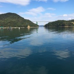 たかたかの釣り日記