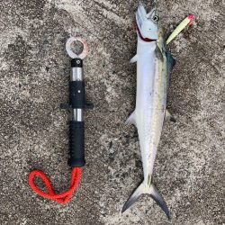 ショアジギング