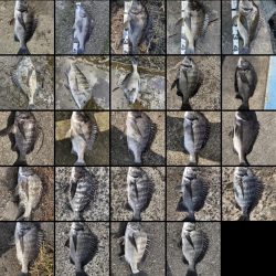 イチノ兄弟、釣果！