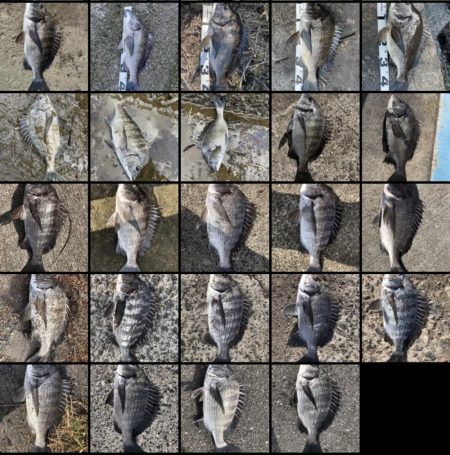 イチノ兄弟、釣果！