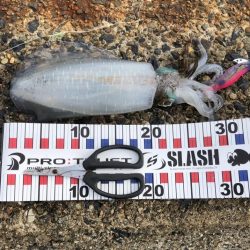 最後はホームでRUN