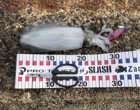 最後はホームでRUN