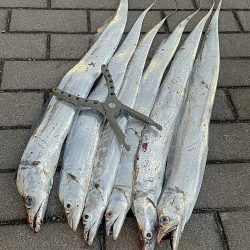 2年ぶりだよ〜(^^)