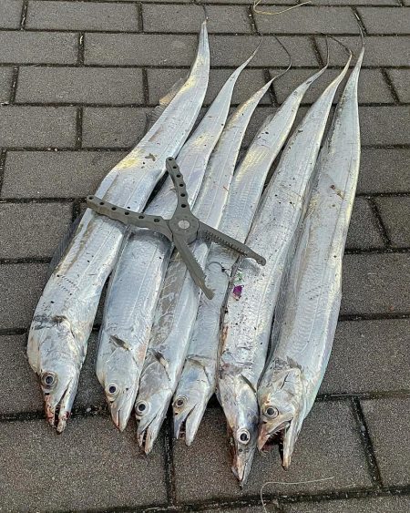 2年ぶりだよ〜(^^)