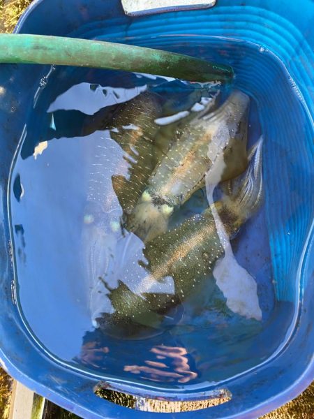 早朝ティップラン