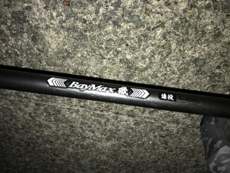 良型太刀魚連発、青物も居た