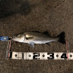 南港　夕方から、